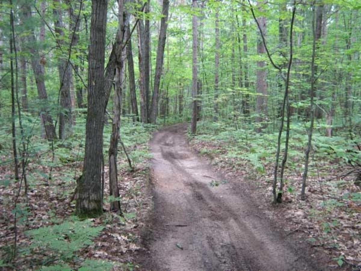 Black Mountain Recreational Area Vacation Rental Cheboygan Exteriér fotografie